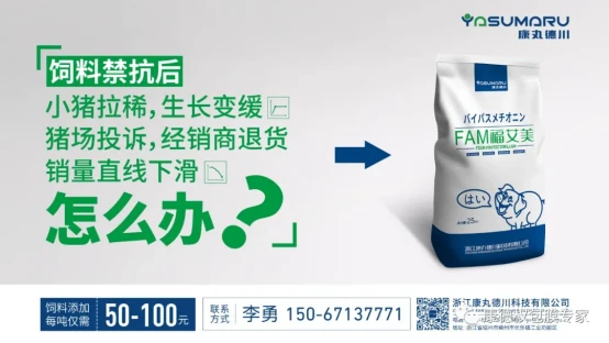 畜牧会讯：康丸德川FAM（福艾美）让饲料替抗无腹泻又省钱1203.webp
